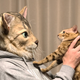 Image for article titled Turn Your Cat's Face Into A Wearable Mask